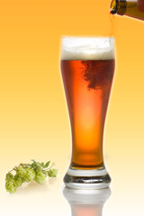 beer