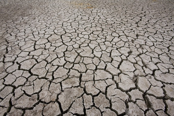 cracked earth - concept image of global warming