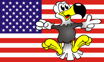 USA Weisskopfseeadler