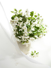 Blossoming apple-tree branches in jug