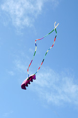 Cerf-volant