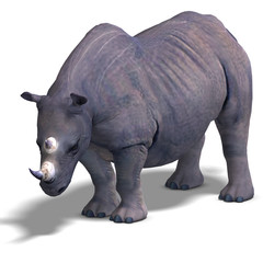 Fototapeta premium Rhinoceros Rendering