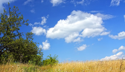 Hill under blue cloudy sky