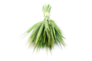 green wheat © matka_Wariatka