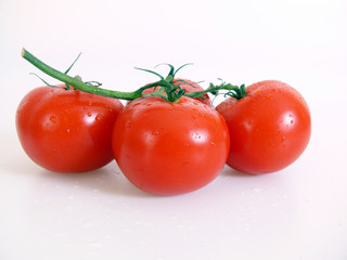 Tomaten