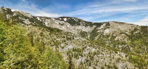 Fototapeta na wymiar Retezat Mountains