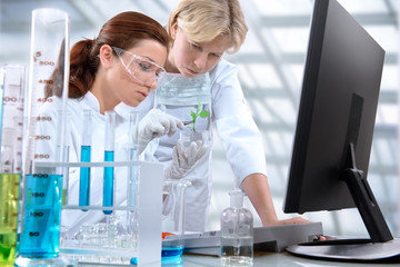 scientists working at the laboratory
