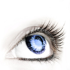 Great big eye.