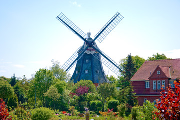 Eine Klassische Windmühle auf Föhr