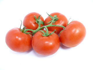 tomate 5