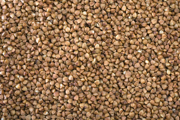 buckwheat