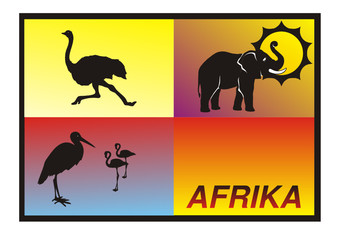 Afrika - Safari und Abenteuer