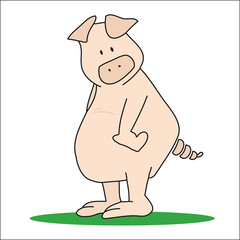 pig