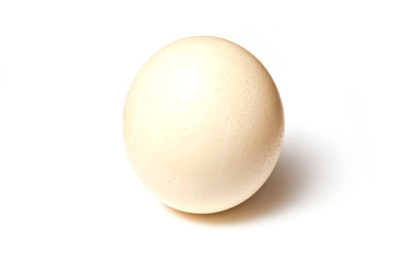 Ostridge egg isolated on a white studio background.