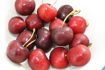 sour red cherries