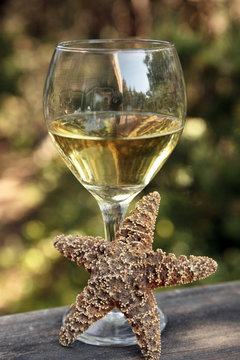 Wine at the beach with sea shell