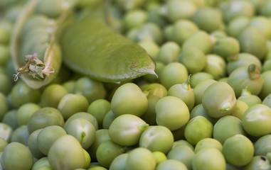 Peas Flower