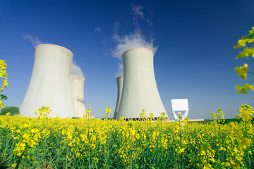 Man with sign at nuclear plant