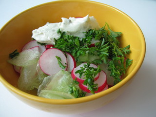 Gurkensalat mit Radieschen und Kräuterquarkcreme