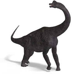 giant dinosaur brachiosaurus With Clipping Path over white