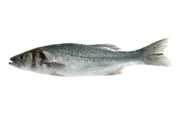 Naklejka premium fish isolated on white