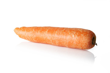 Carrot