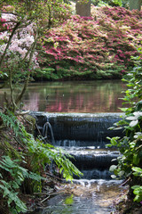 Pond Falls