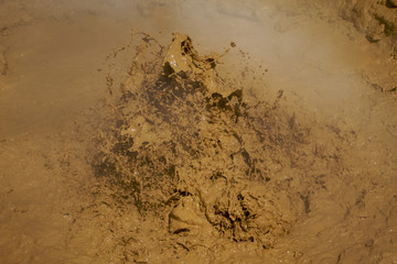Lassen Mud Pit c