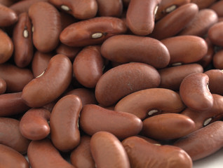 Red Kidney Beans
