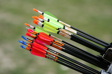 Target archery arrows in a quiver
