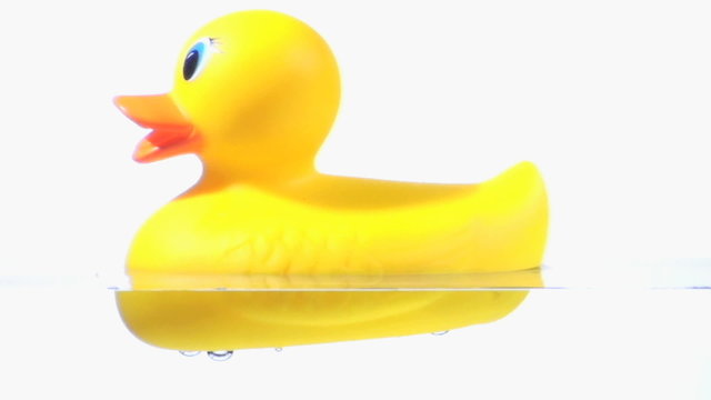 Rubber duck seamless loop - HD