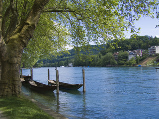 am Rheinufer2