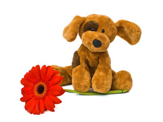 toy dog and flower