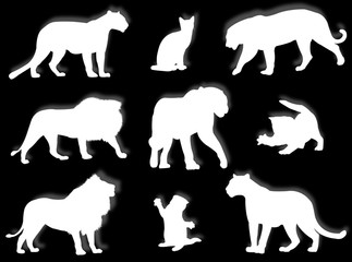 Felini in silhouette © Guilu