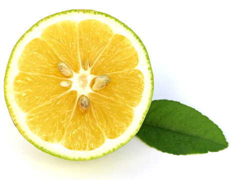demi-citron