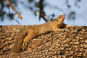 Obraz premium SONY DSC