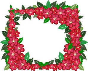 roter blumen rahmen auf weissem hintergrund