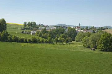 Fototapeta na wymiar Lausitzer Landschaft während der Rapsblüte