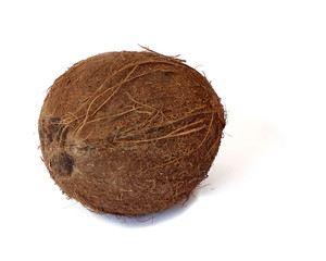 Noix de Coco isolée