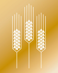 wheat 2