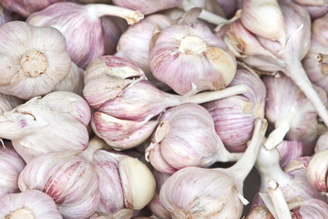 background with garlic