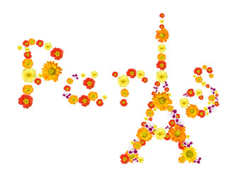 text paris with eiffel tower from flowers isolated on white