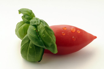 Pomodoro San Marzano e basilico