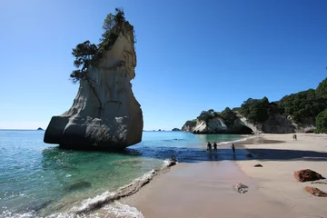 Abwaschbare Fototapete Cathedral Cove Neuseeland - Cathedral Cove, Coromandel