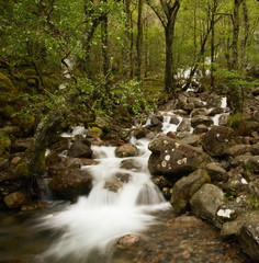 Obraz premium Waterfall