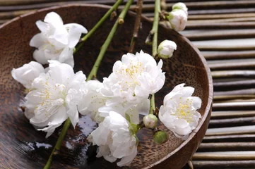 Fototapete Schale mit Kirschblüten auf Bambusmatte © Mee Ting