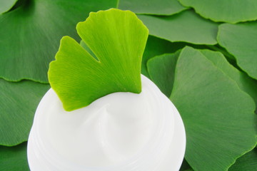 Gingko biloba day cream