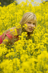 between yellow flowers