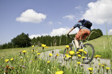 Mountainbiker im Frühling