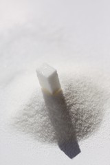 morceau de sucre